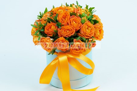 Розы в коробке Джиа купить в Москве недорого